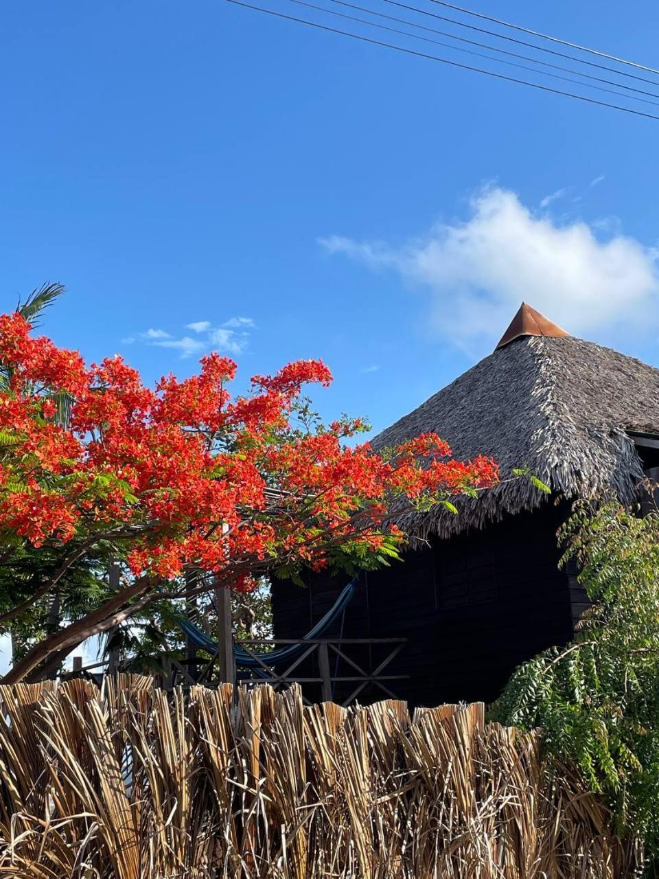 Atins Beach Chales Exterior photo